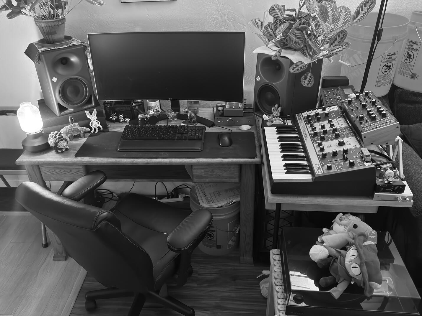 Cosmic Lynx Studio Overview