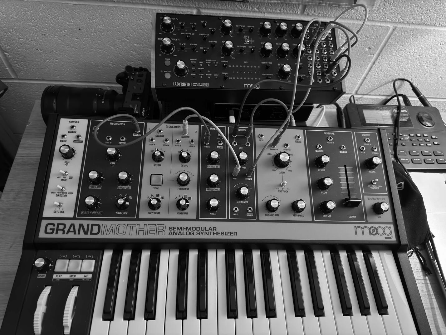 Cosmic Lynx Studio Closeup